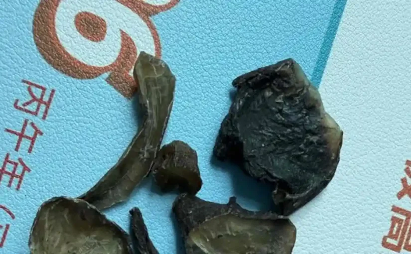附子乱象背后的监管与自救之争